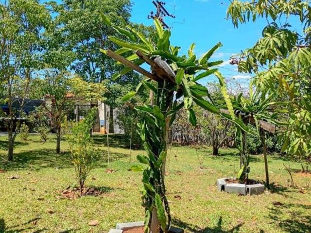 Sítio e chácara venda em Região Imediata de Sorocaba, Região Metropolitana de Sorocaba