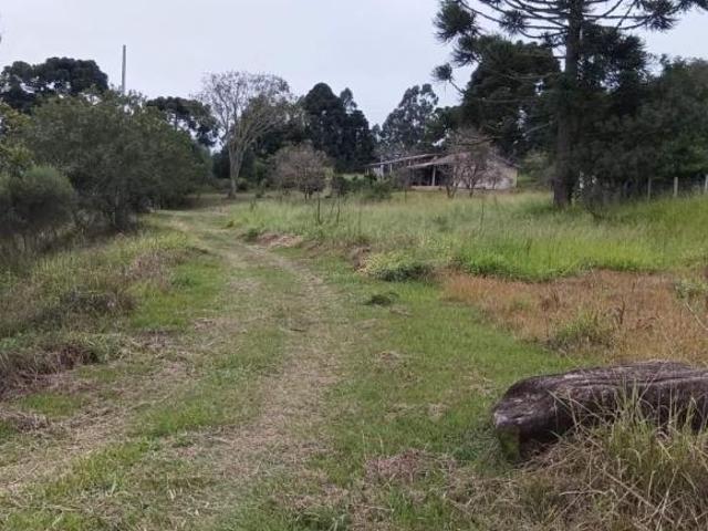 Sítio e chácara venda em Região Geográfica Imediata de Curitiba, Região Metropolitana de Curitiba