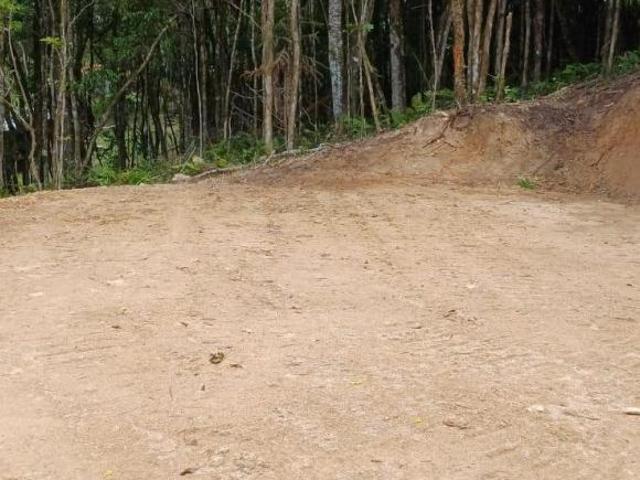 Sítio e chácara venda em Região Geográfica Imediata de Curitiba, Região Metropolitana de Curitiba