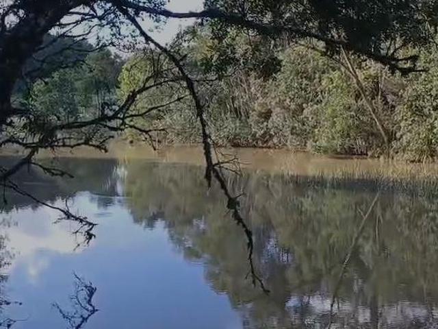 Sítio e chácara venda em Região Geográfica Imediata de Curitiba, Região Metropolitana de Curitiba