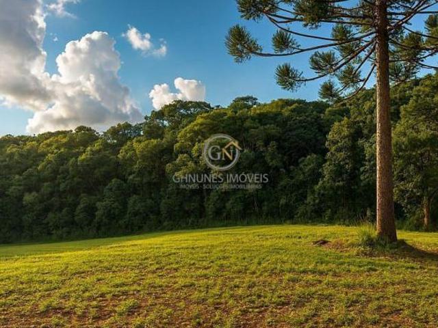 Sítio e chácara venda em Região Geográfica Imediata de Curitiba, Região Metropolitana de Curitiba