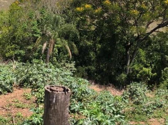 Sítio e chácara venda em São Pedro
