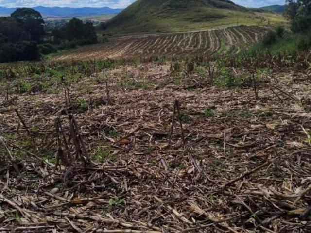 Sítio e chácara venda em Região Geográfica Imediata de Poços de Caldas, Andradas