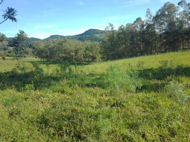 Sítio e chácara venda em Região Geográfica Imediata de Poços de Caldas, Andradas