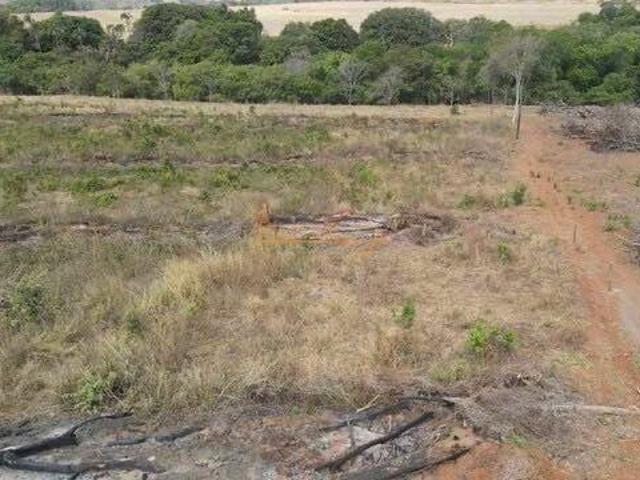 Sítio e chácara venda em Centro, Araguari