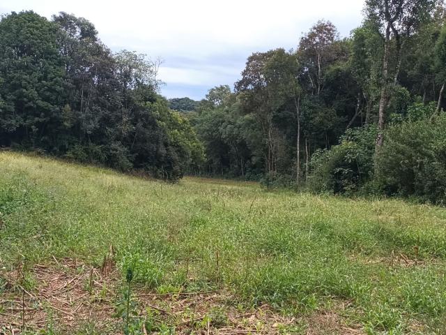 Sítio e chácara venda em Região Geográfica Imediata de Curitiba, Região Metropolitana de Curitiba