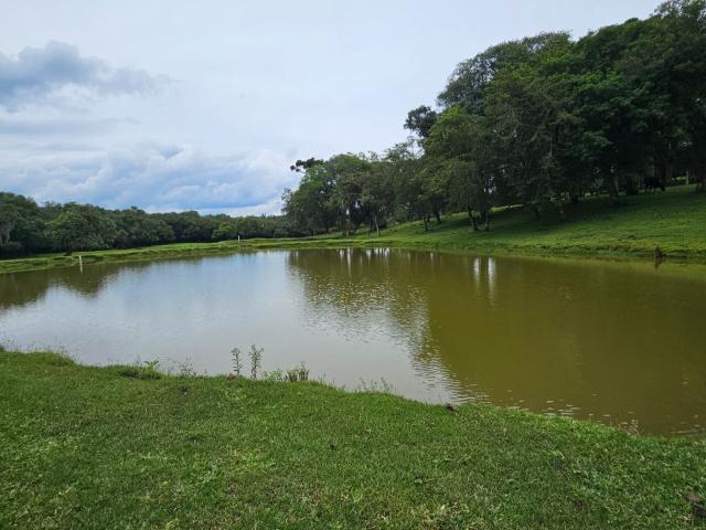Sítio e chácara venda em Região Geográfica Imediata de Curitiba, Região Metropolitana de Curitiba