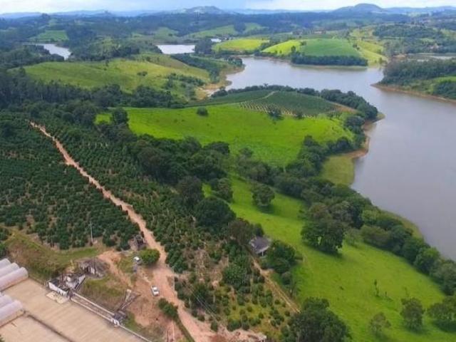 Sítio e chácara venda em Região Imediata de São José do Rio Pardo-Mococa, Caconde