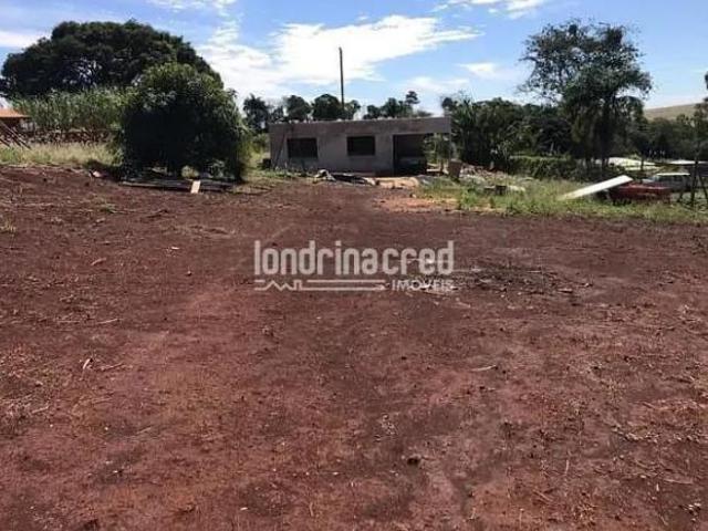 Sítio e chácara venda em Região Geográfica Imediata de Londrina, Cambé