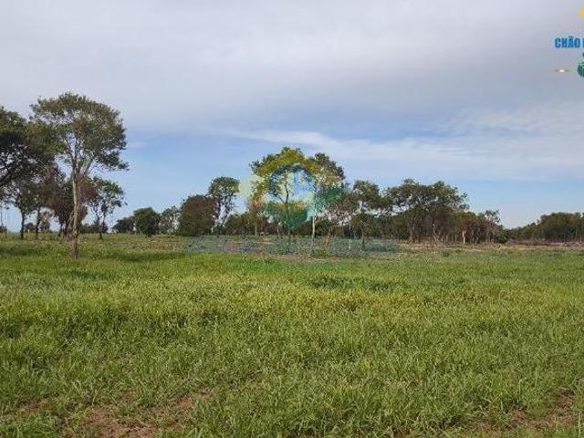 Sítio e chácara venda em Região Geográfica Imediata de Campo Grande, Campo Grande