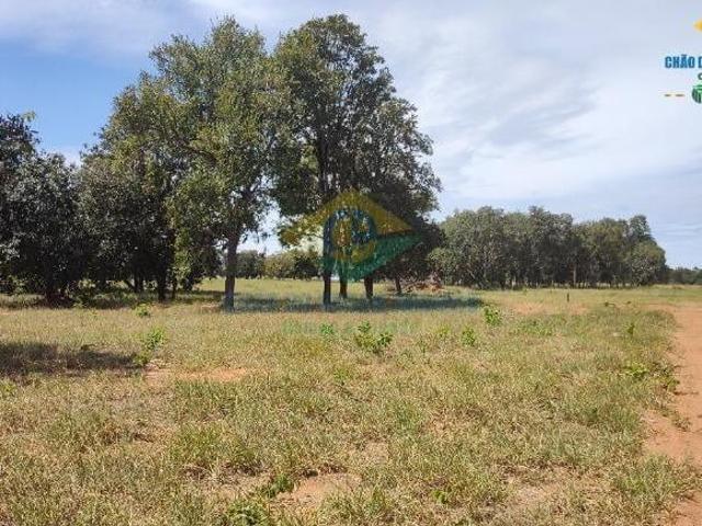 Sítio e chácara venda em Região Geográfica Imediata de Campo Grande, Campo Grande