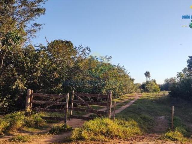 Sítio e chácara venda em Região Geográfica Imediata de Campo Grande, Campo Grande