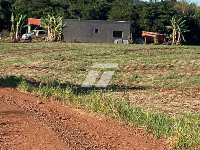 Sítio e chácara venda em Região Geográfica Imediata de Cascavel, Cascavel