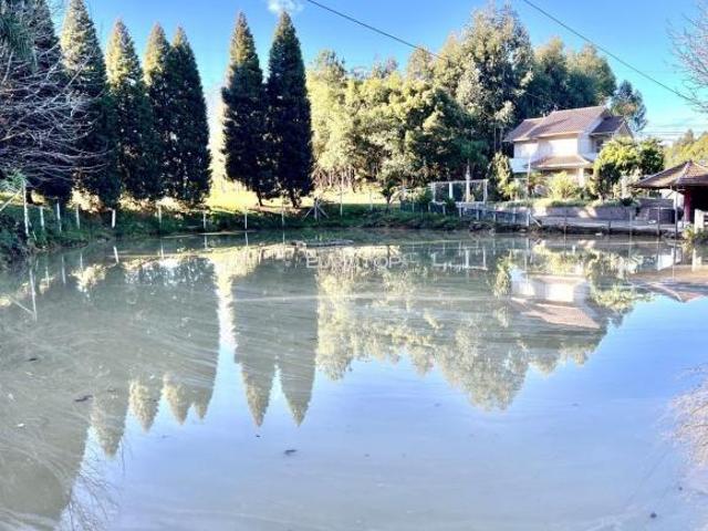 Sítio e chácara venda em Região Geográfica Imediata de Caxias do Sul, Farroupilha