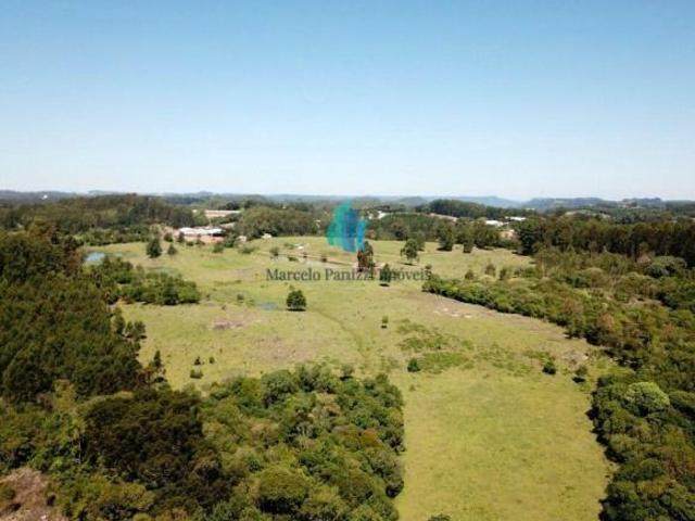 Sítio e chácara venda em Região Geográfica Imediata de Caxias do Sul, Farroupilha