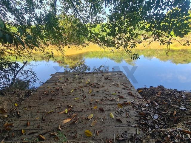 Sítio e chácara venda em Região Imediata de Campinas, Região Metropolitana de Campinas