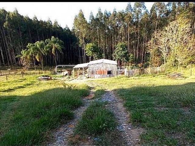 Sítio e chácara venda em Região Imediata de Guaratinguetá, Região Metropolitana do Vale do Paraíba e Litoral Norte