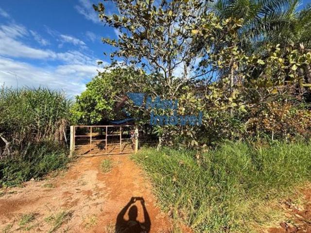 Sítio e chácara venda em Região Geográfica Imediata de Luziânia, Região Integrada de Desenvolvimento do Distrito Federal e Entorno