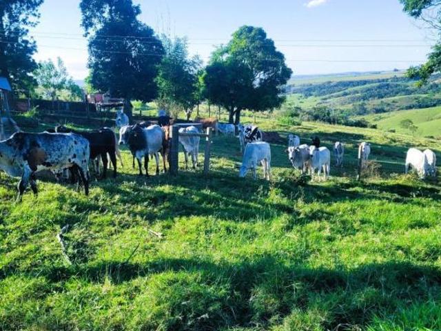 Sítio e chácara venda em Região Imediata de Piracicaba, Região Metropolitana de Piracicaba