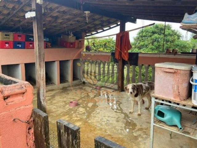 Sítio e chácara venda em São José dos Campos