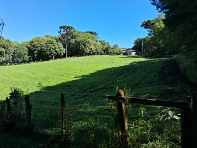 Sítio e chácara venda em Região Geográfica Imediata de Curitiba, Região Metropolitana de Curitiba