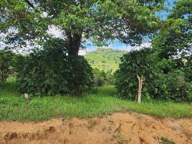 Sítio e chácara venda em Região Geográfica Imediata de Pouso Alegre, Santa Rita do Sapucaí