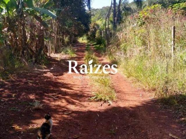 Sítio e chácara venda em Setor Sul, Uberlândia
