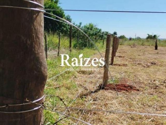 Sítio e chácara venda em Setor Sul, Uberlândia