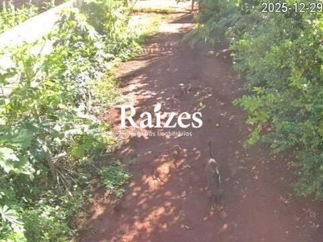 Sítio e chácara venda em Setor Sul, Uberlândia