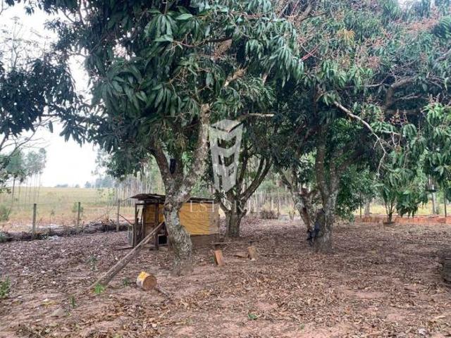 Sítio e chácara venda em Região Imediata de Avaré, Avaré