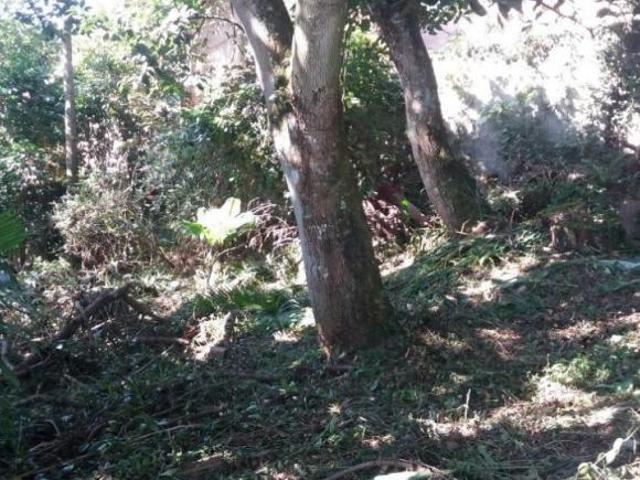 Sítio e chácara venda em Região Imediata de São Paulo, Região Metropolitana de São Paulo