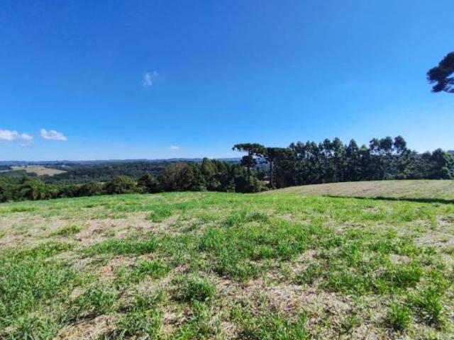 Sítio e chácara venda em Região Geográfica Imediata de Curitiba, Região Metropolitana de Curitiba
