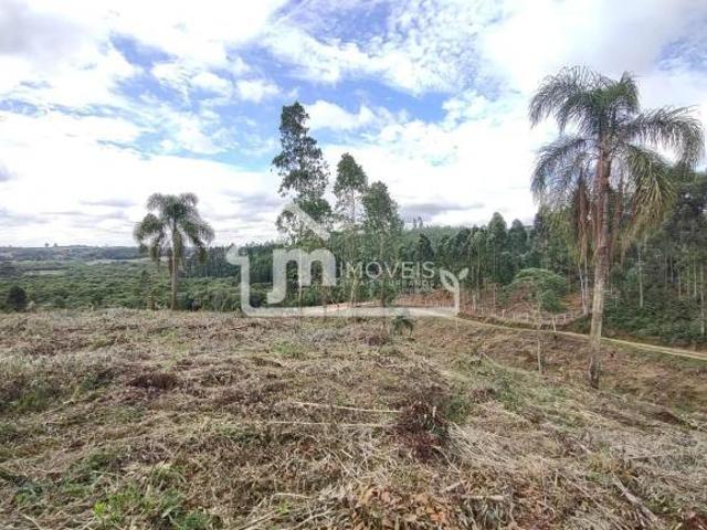 Sítio e chácara venda em Região Geográfica Imediata de Curitiba, Região Metropolitana de Curitiba
