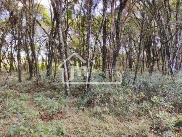 Sítio e chácara venda em Região Geográfica Imediata de Curitiba, Região Metropolitana de Curitiba