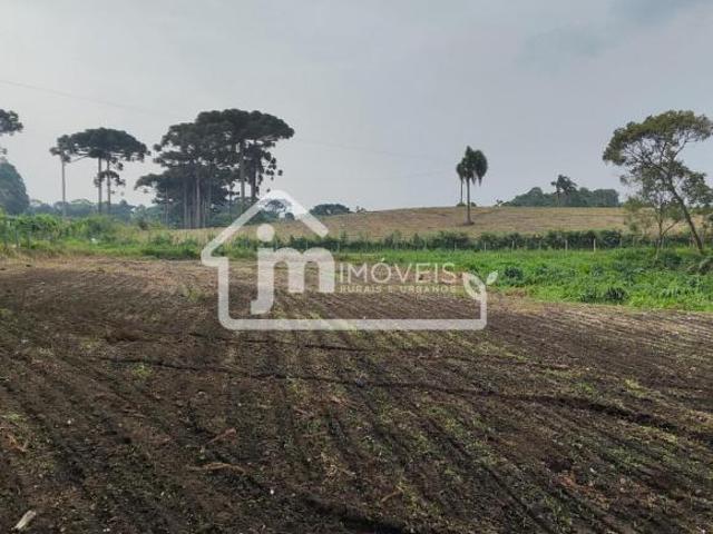 Sítio e chácara venda em Região Geográfica Imediata de Curitiba, Região Metropolitana de Curitiba