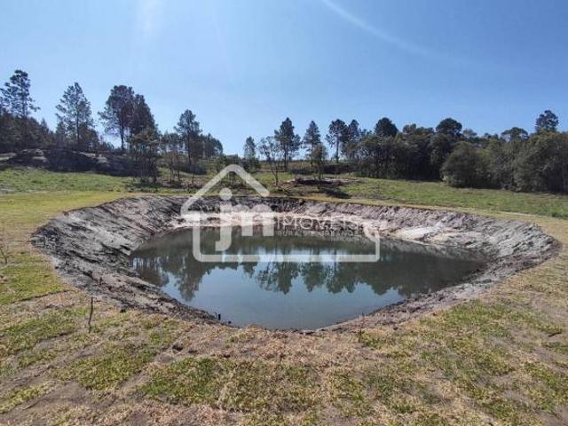 Sítio e chácara venda em Região Geográfica Imediata de Curitiba, Região Metropolitana de Curitiba