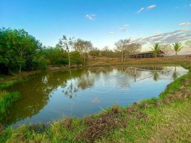 Sítio e chácara venda em Região Geográfica Imediata de Barra do Garças, Pontal do Araguaia