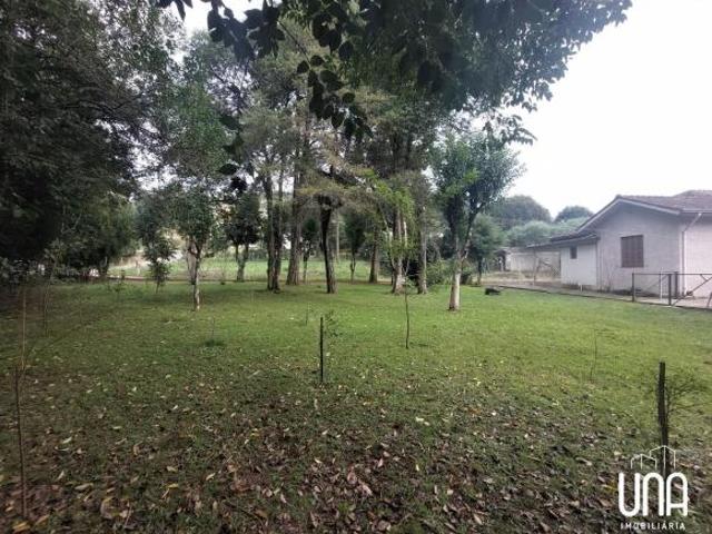 Sítio e chácara venda em Bento Gonçalves