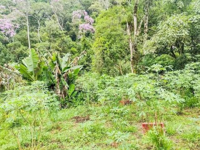 Sítio e chácara venda em Região Imediata de São Paulo, Região Metropolitana de São Paulo