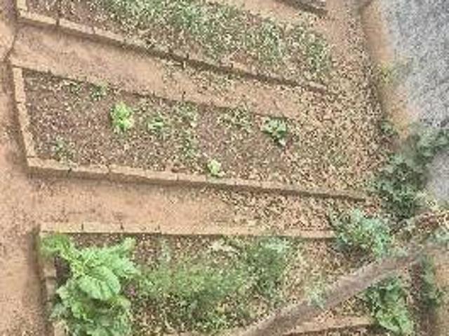 Sítio e chácara venda em Regional Citrolândia, Betim