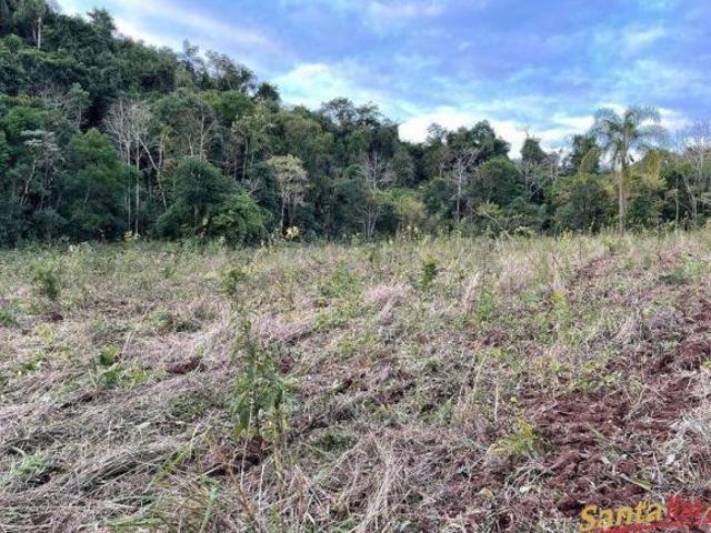 Sítio e chácara venda em Região Geográfica Imediata de Santa Cruz do Sul, Santa Cruz do Sul