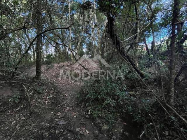 Sítio e chácara venda em Bofete, Região Geográfica Intermediária de Bauru