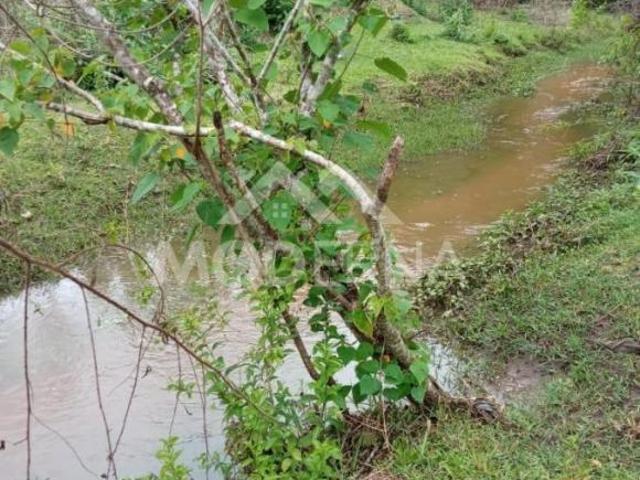 Sítio e chácara venda em Região Imediata de Botucatu, Bofete