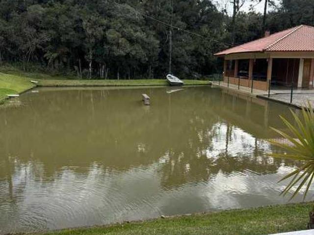 Sítio e chácara venda em Accioli, São José dos Pinhais