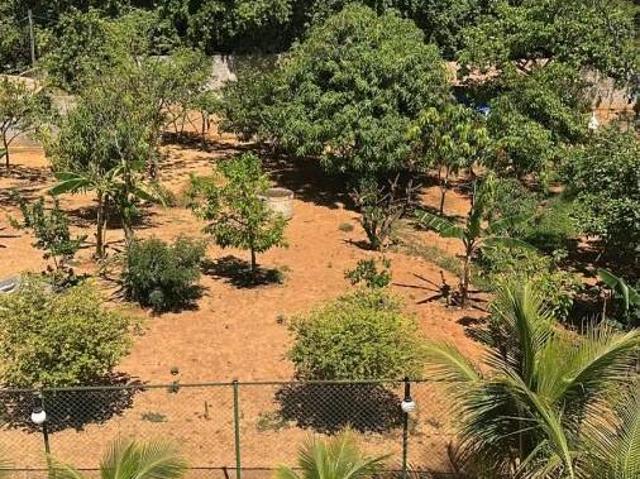 Sítio e chácara venda em Região Geográfica Imediata do Distrito Federal, Região Integrada de Desenvolvimento do Distrito Federal e Entorno