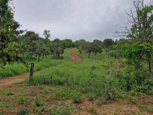 Sítio e chácara venda em Região Geográfica Imediata do Distrito Federal, Região Integrada de Desenvolvimento do Distrito Federal e Entorno