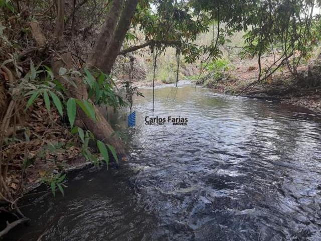 Sítio e chácara venda em Região Geográfica Imediata do Distrito Federal, Região Integrada de Desenvolvimento do Distrito Federal e Entorno