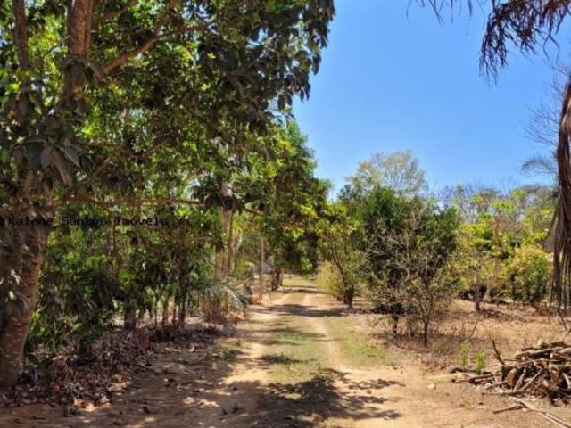 Sítio e chácara venda em Centro, Caldas Novas