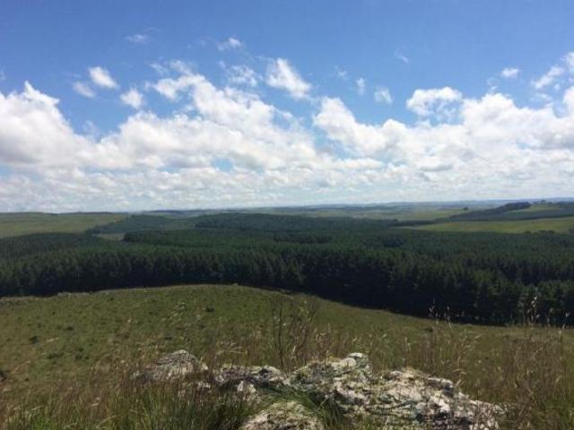 Sítio e chácara venda em Região Geográfica Imediata de Caxias do Sul, Cambara do Sul