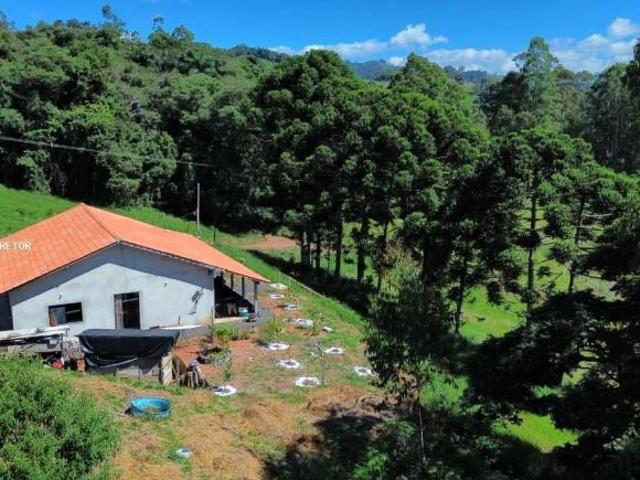 Sítio e chácara venda em Cambuí, Região Geográfica Intermediária de Pouso Alegre